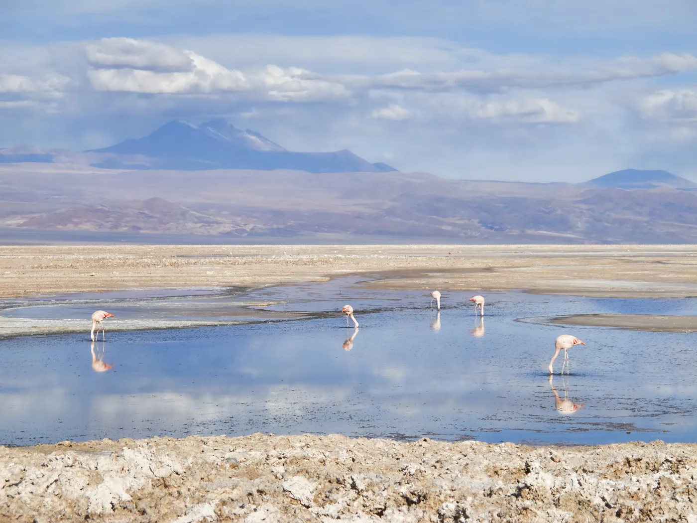 Vysokohorská laguna obklopená sopkami v poušti Atacama